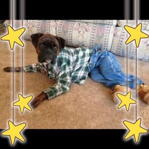 Men’s jeans and pants for sale